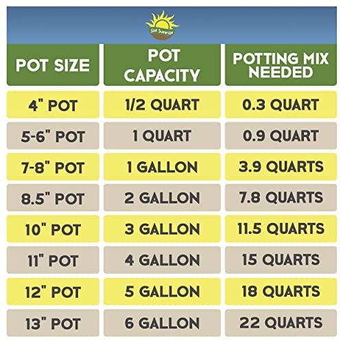 Cactus and Succulent Potting Mix, Fast Draining E2074