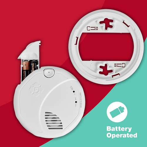 Battery Powered Smoke Detector & Carbon Monoxide Alarm N936294