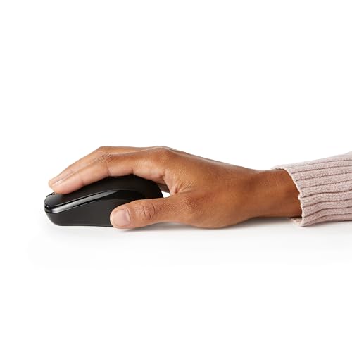 Wireless Optical Mouse with USB Nano Receiver, Black B899