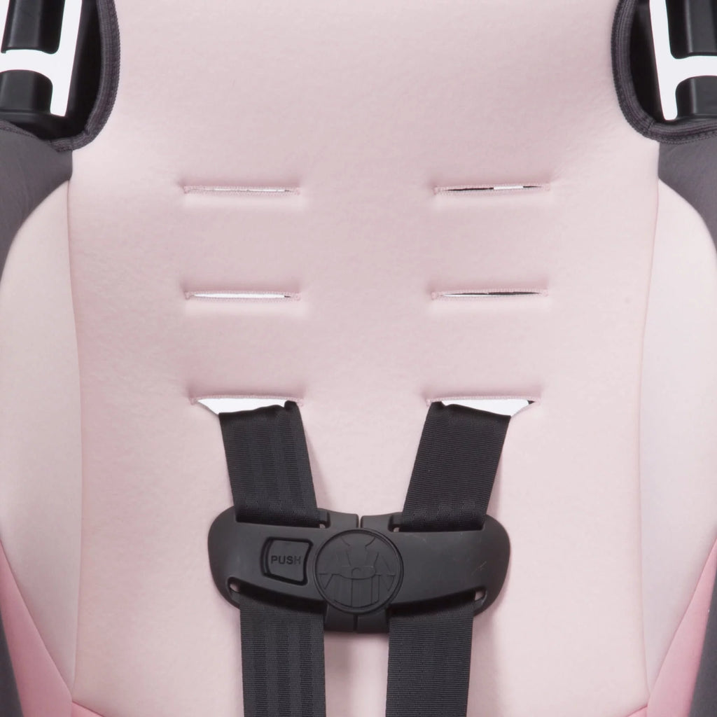 2-in-1 Booster Car Seat, Sweetberry G3872