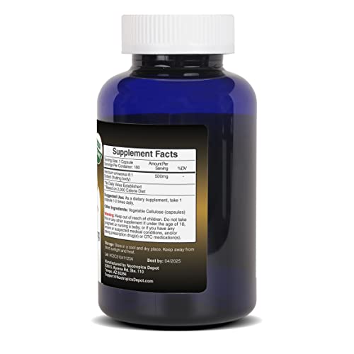 Lion's Mane Mushroom Capsules 500mg, 60 Count Y204208