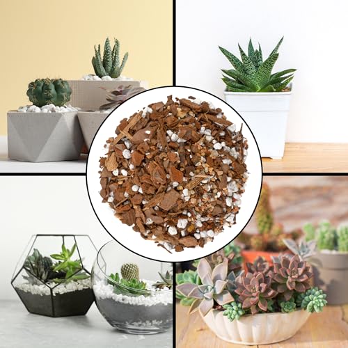Cactus and Succulent Potting Mix, Fast Draining E2074