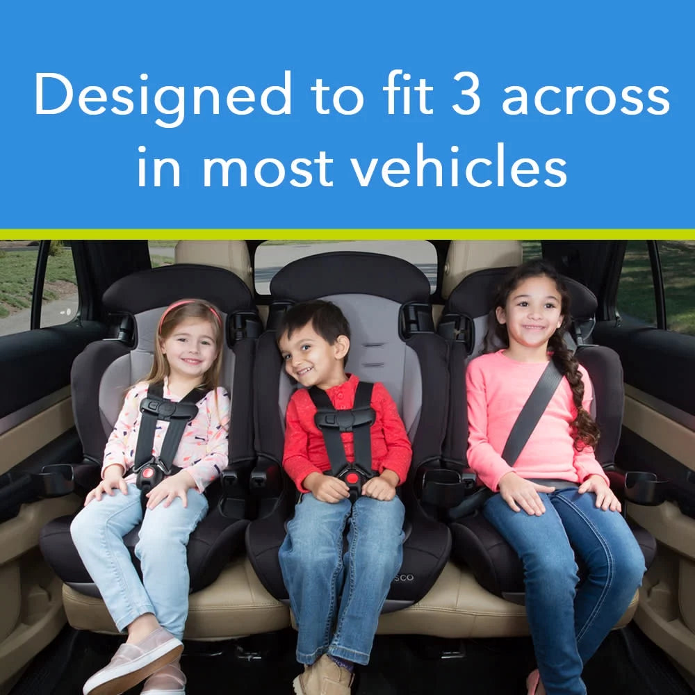 2-in-1 Booster Car Seat, Sweetberry G3872