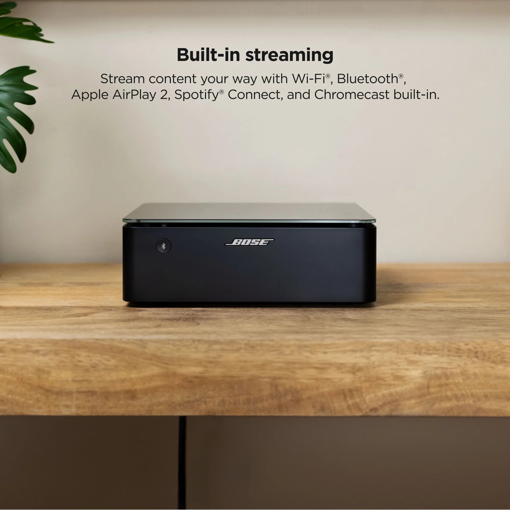 Music Amplifier with Wi-Fi and Bluetooth E302