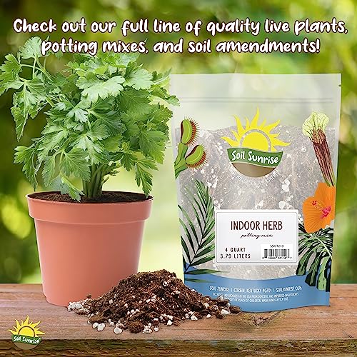 Cactus and Succulent Potting Mix, Fast Draining E2074