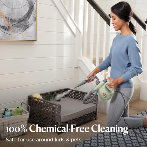 Handheld pressurized steamer with 10 cleaning tools W140