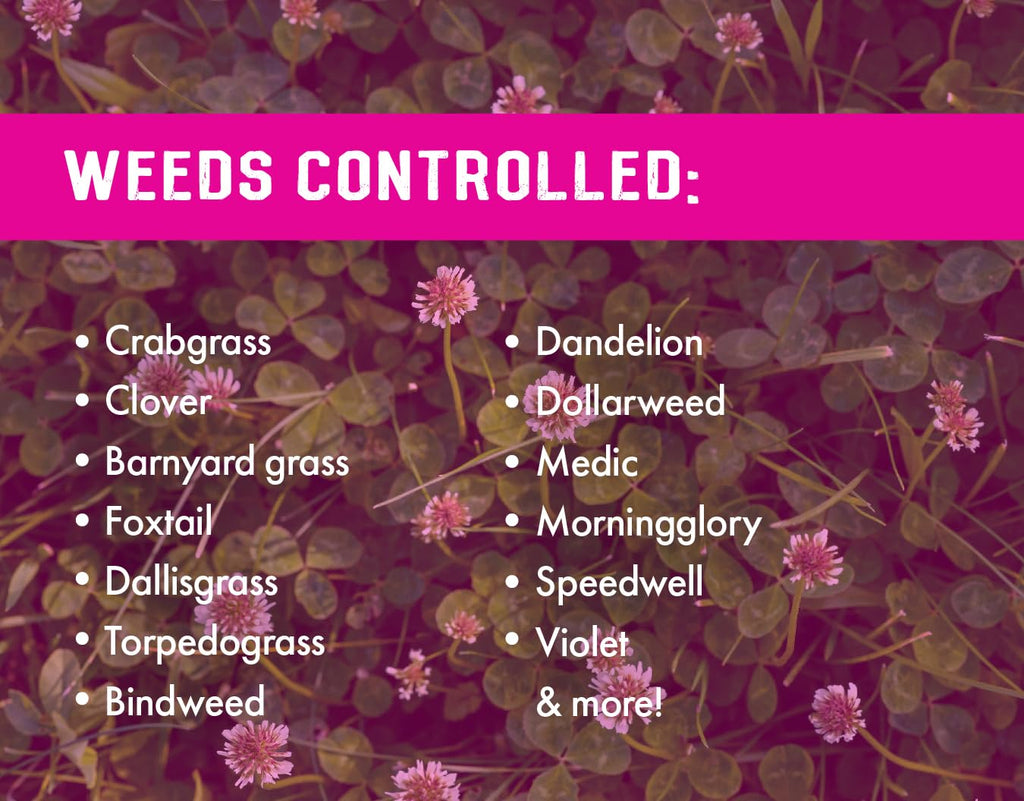 Crabgrass & Grassy Weed Killer Concentrate, 32 oz X82407