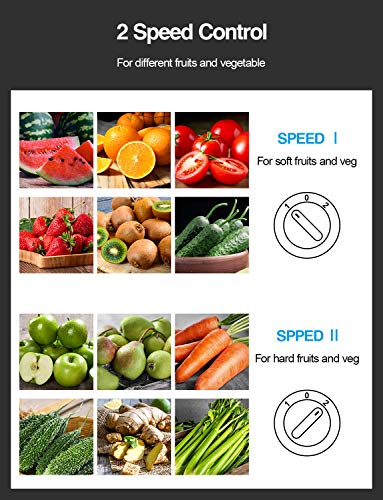 Juicer Machine, 800W Centrifugal Extractor with Wide Mouth Feed Chute, Stainless Steel, BPA-free V753
