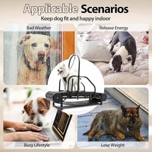Dog Treadmill with Step Counter, Adjustable Incline & Brake, Indoor and Outdoor, Supports Up to 300 lbs N8859