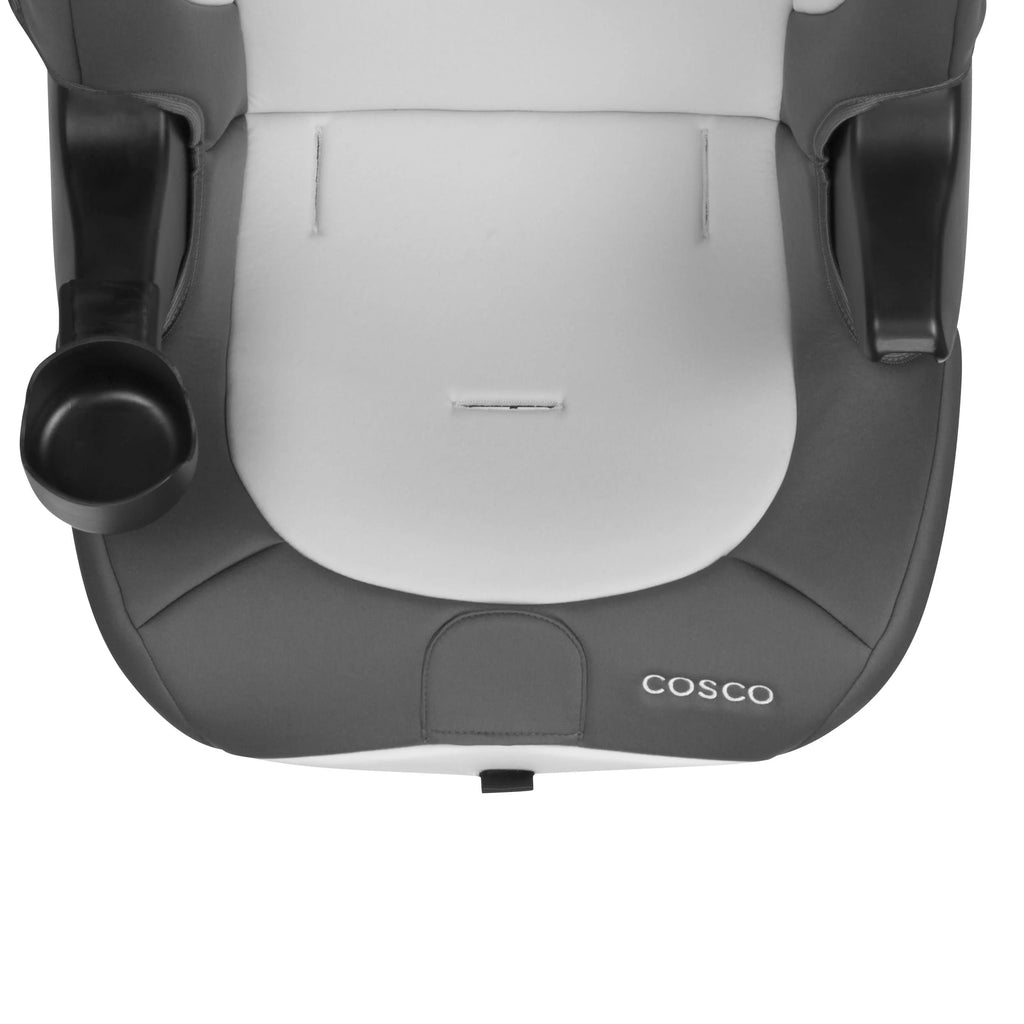 2-in-1 Booster Car Seat, Sweetberry G3872