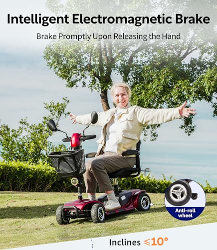 Mobility Scooter for Adults, All Terrain 4 Wheel Electric Scooter with Seat L895163