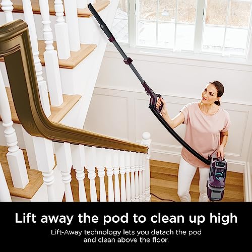 Upright Vacuum Cleaner for Home, Bagless, HEPA Filter Q241
