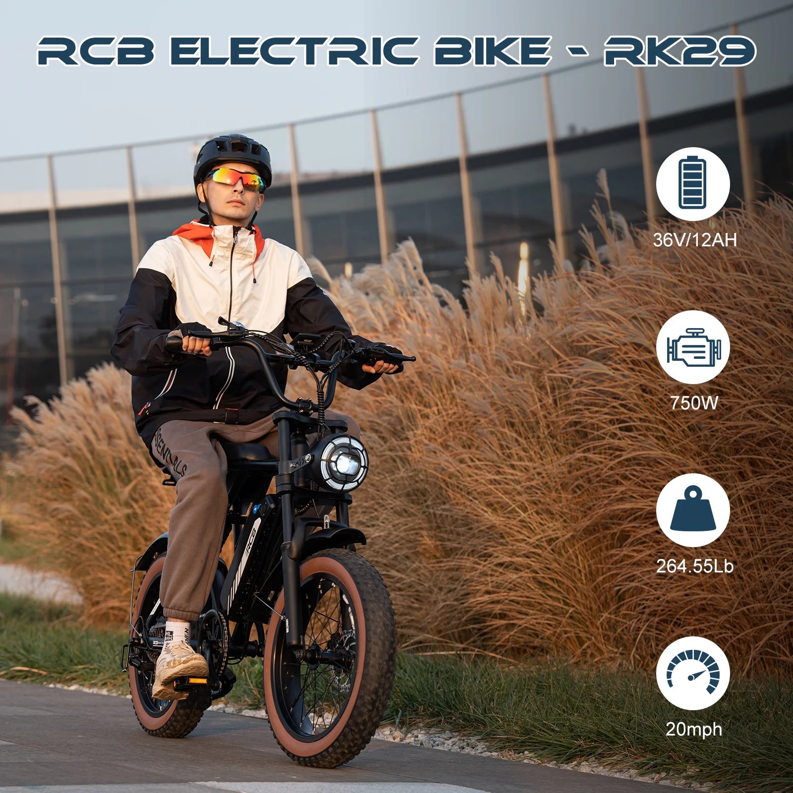 Electric Bike for Adults, 48V 15Ah Removable Battery, 20" Fat Tire Mountain Bicycle H86130