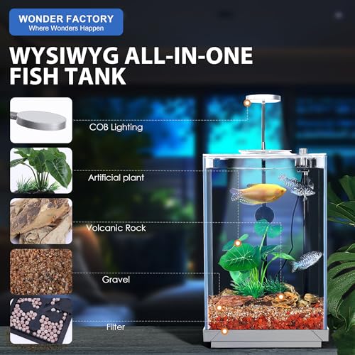 1.5 Gallon All-in-One Starter Kit with Float Glass Tank, Filter, Light, Rocks, Gravel, Plants W9312