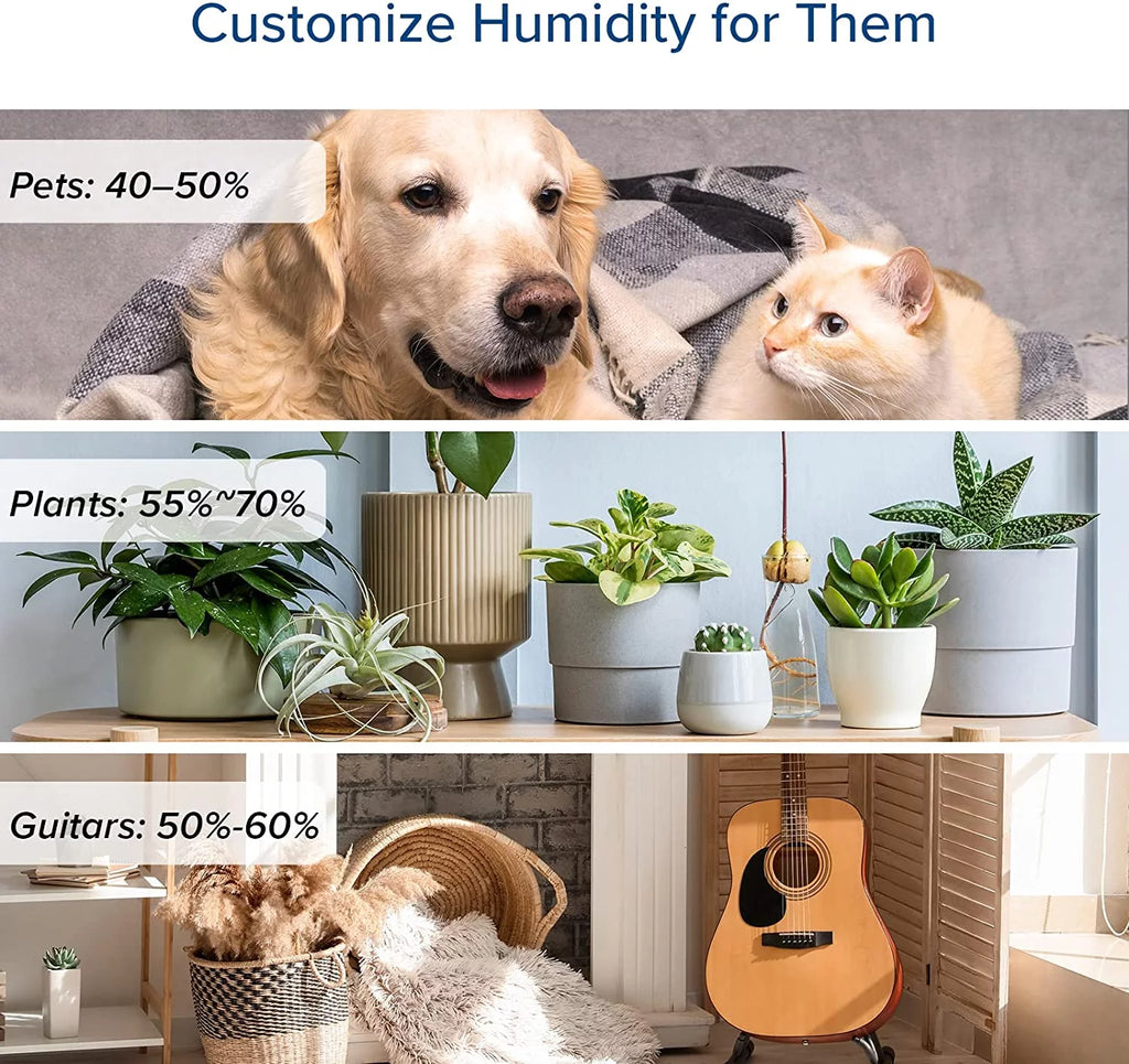Warm and Cool Mist Humidifier, 6L, 753 sq ft R454