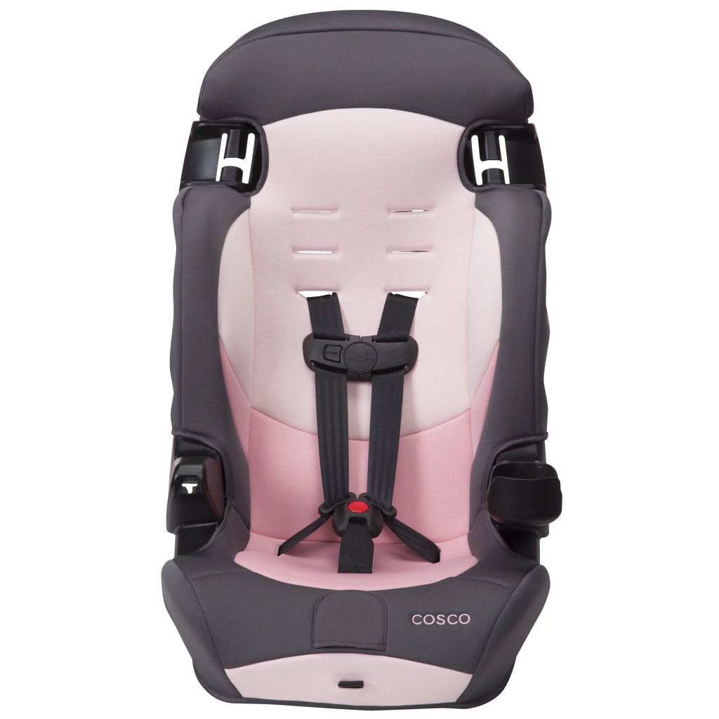 2-in-1 Booster Car Seat, Sweetberry G3872
