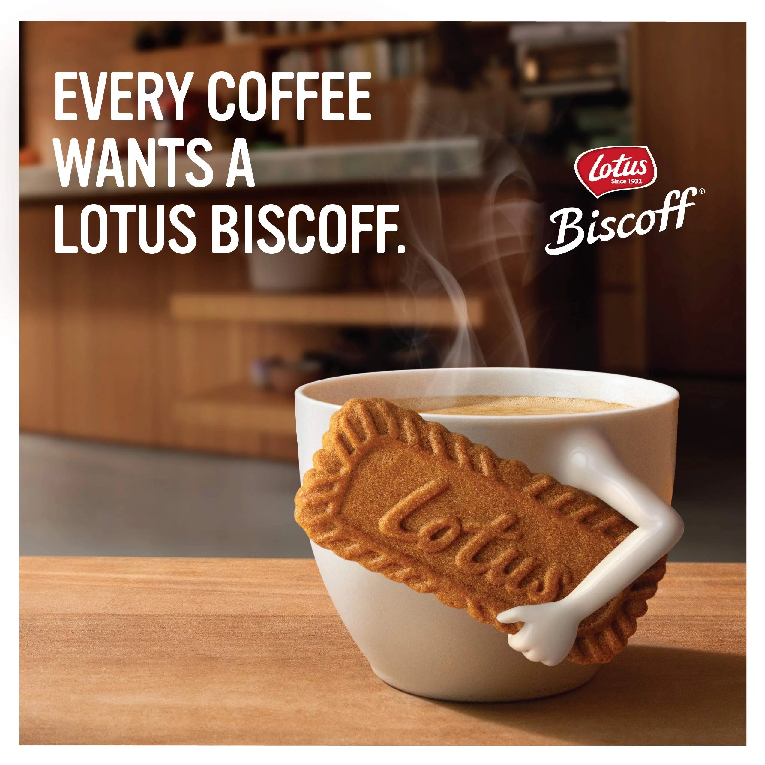 Biscoff Cookies, 8.8 Oz. I738
