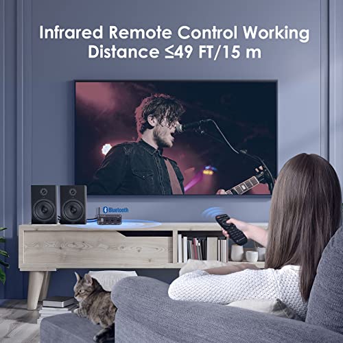 Bluetooth Stereo Amplifier for Home Speakers H814638