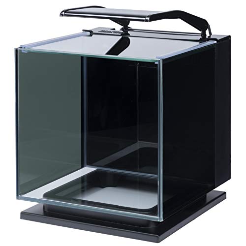 Betta Shadowbox Aquarium Kit N541329