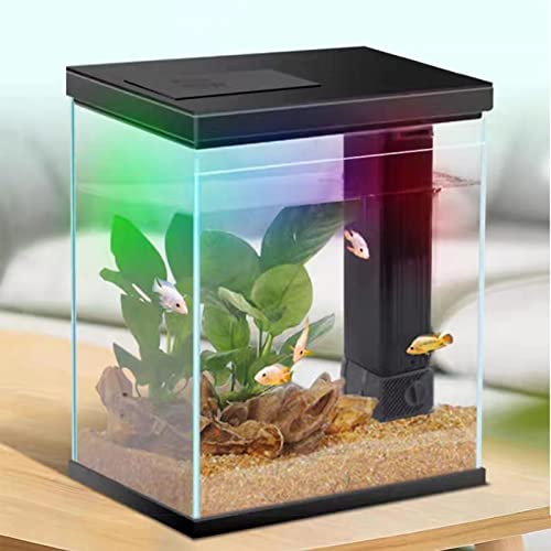 2 Gallon Glass Betta Fish Tank with Heater, Filter and Light A840004