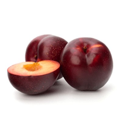 Brighter Blooms - Santa Rosa Plum Tree, 4-5 ft. - No Shipping to AR,AZ,CA,ID,LA,OR,WA