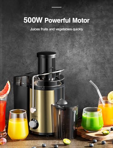 Juicer Machine, 800W Centrifugal Extractor with Wide Mouth Feed Chute, Stainless Steel, BPA-free V753