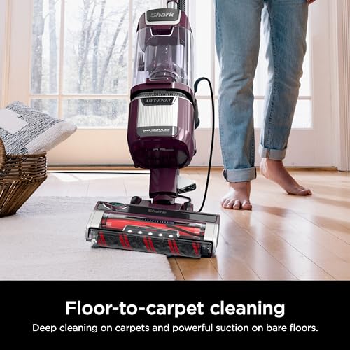 Upright Vacuum Cleaner for Home, Bagless, HEPA Filter Q241