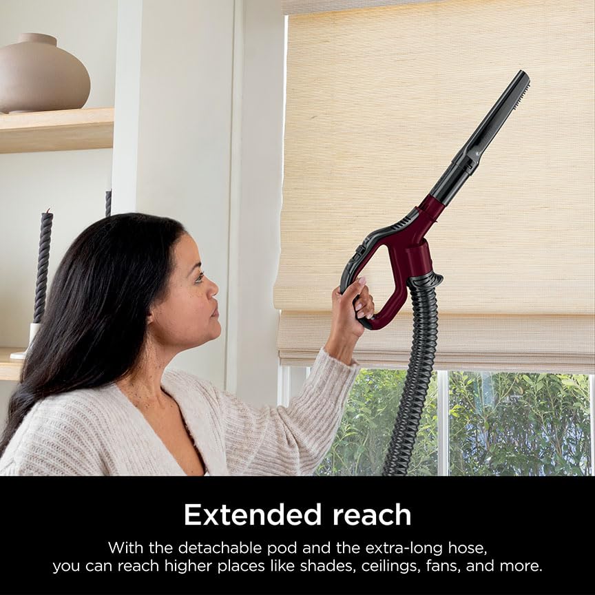 Upright Vacuum Cleaner for Home, Bagless, HEPA Filter Q241