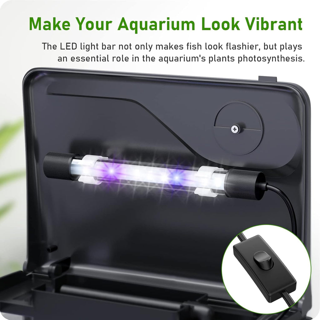 Glass Aquarium Starter Kit with Filter and Light, 2 Gallon G9333