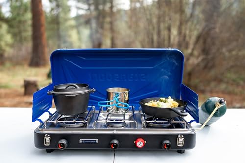 Propane Portable Camping Stove Q5753