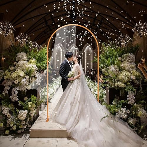 Metal Arch Backdrop Stand for Party Wedding Decoration N268647