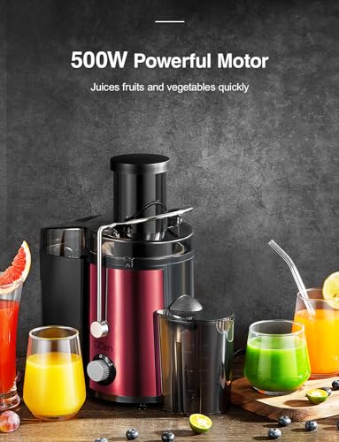 Juicer Machine, 800W Centrifugal Extractor with Wide Mouth Feed Chute, Stainless Steel, BPA-free V753