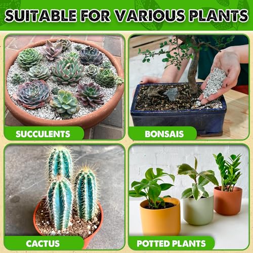 Horticultural Pumice for Plants Indoor, Soil Additive for Bonsai, Succulent, Cactus, 1/4" - 3/8", 2 QT N60482
