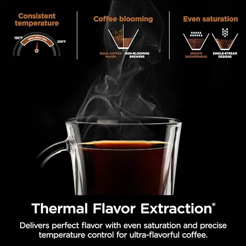 Hot & Iced XL Coffee Maker with Rapid Cold Brew, 4 Brew Styles, 8 Sizes C748605