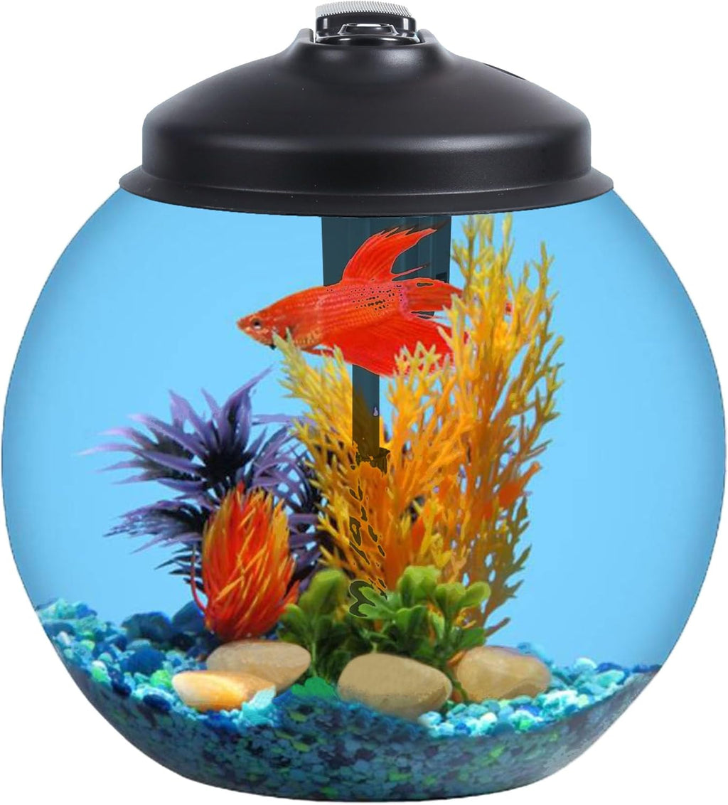 3-Gallon Fish Tank, Aquarium Starter Kit Includes Power Filter, LED Light with 5V Power Supply, and Full Hood, Ideal for Betta and a Variety of Tropical Fish, Impact-Resistant Plastic