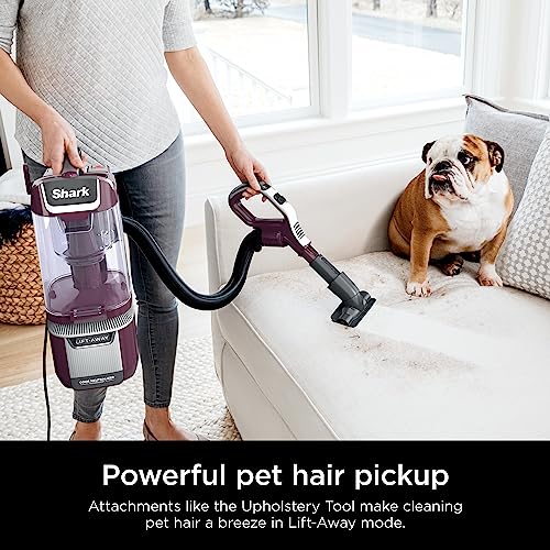 Upright Vacuum Cleaner for Home, Bagless, HEPA Filter Q241