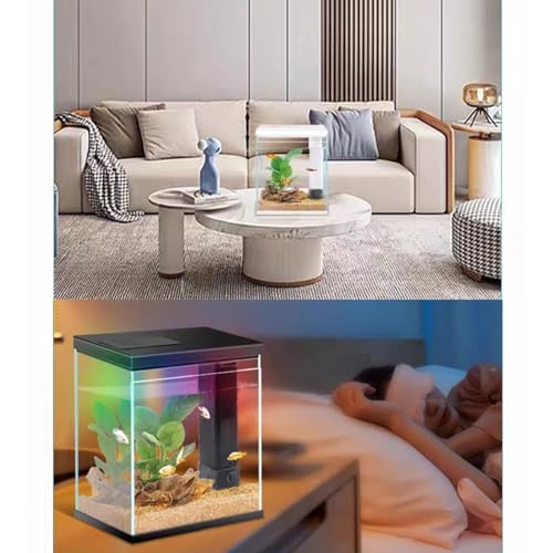 2 Gallon Glass Betta Fish Tank with Heater, Filter and Light A840004