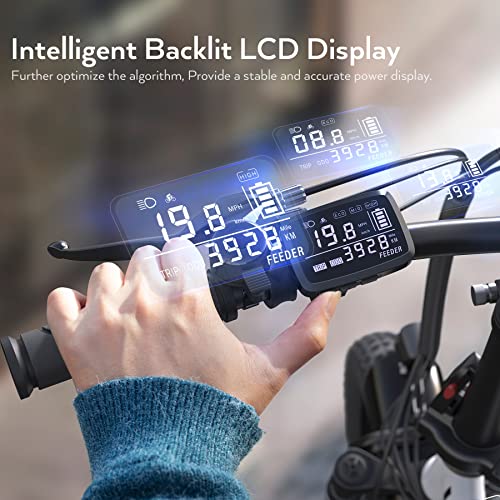 Electric Bike 16" Fat Tire 350W Step Thru, 48V Removable Battery, 40 Miles U430
