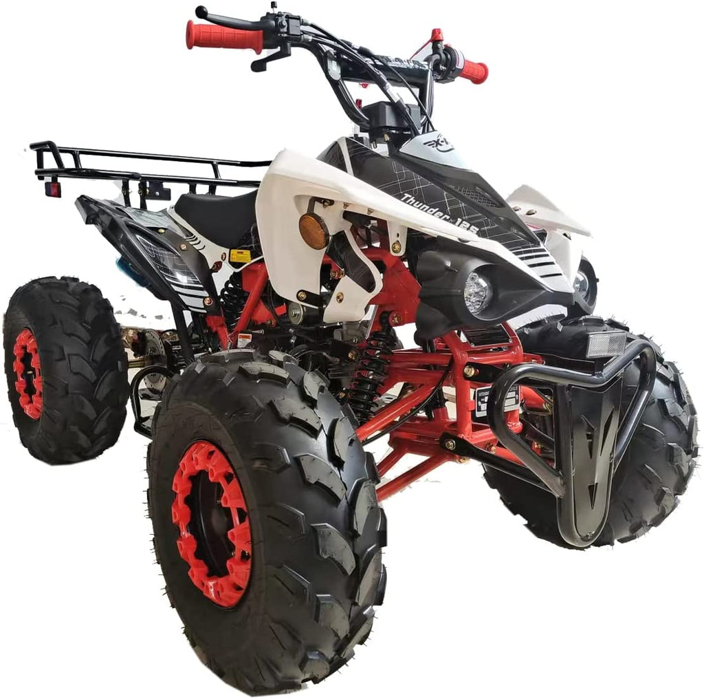 125cc Gas ATV Automatic Transmission with Reverse M195