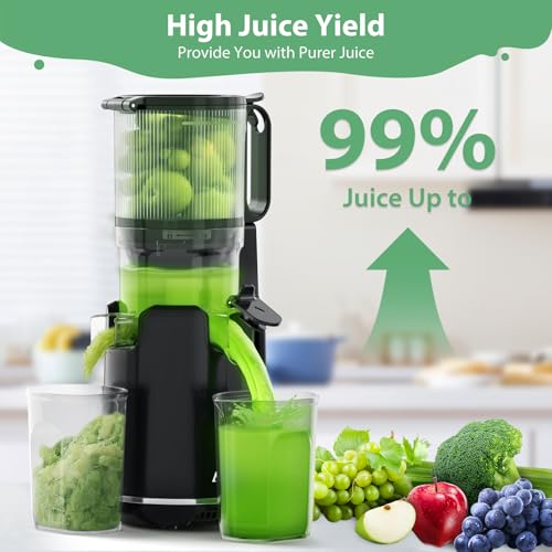 Cold Press Juicer with Extra Large Feed Chute for Whole Fruits and Vegetables V899