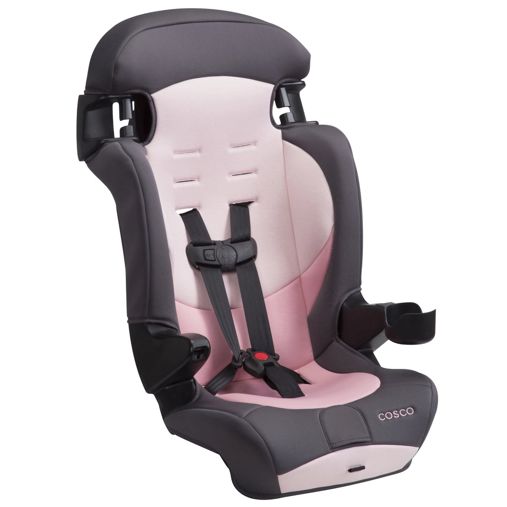 2-in-1 Booster Car Seat, Sweetberry G3872