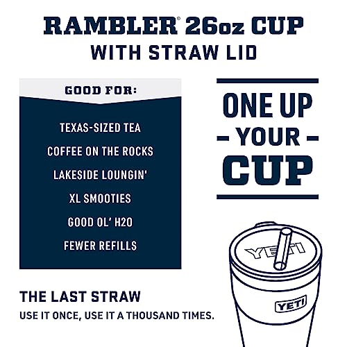 26 oz Vacuum Insulated Stainless Steel Straw Cup B223598