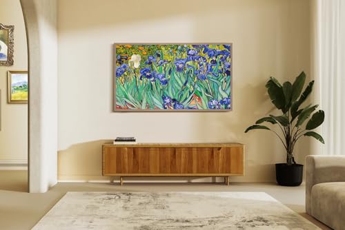 65-Inch QLED 4K Smart TV with Dolby Vision HDR and Anti-Glare Display Z871