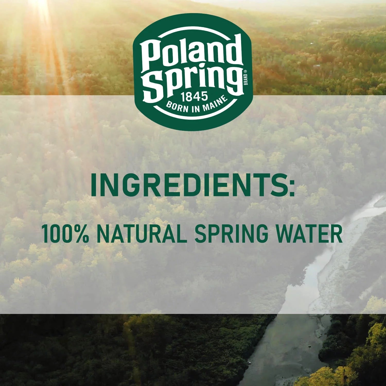 Natural Spring Water, 16.9 Fl Oz, 40 Count Y9079
