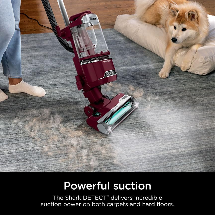 Upright Vacuum Cleaner for Home, Bagless, HEPA Filter Q241
