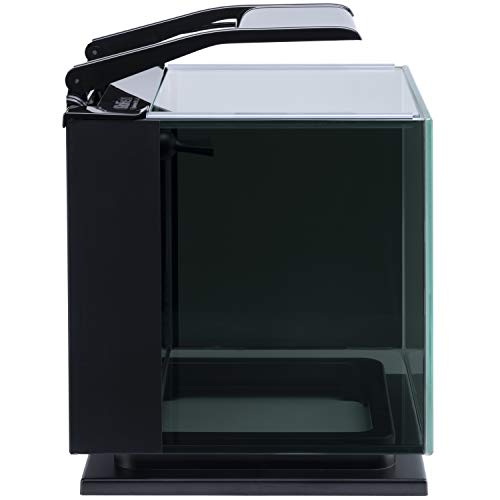 Betta Shadowbox Aquarium Kit N541329