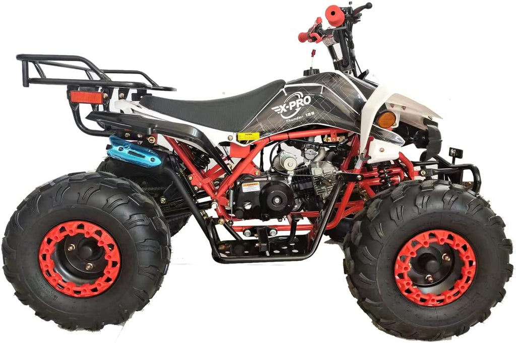 125cc Gas ATV Automatic Transmission with Reverse M195