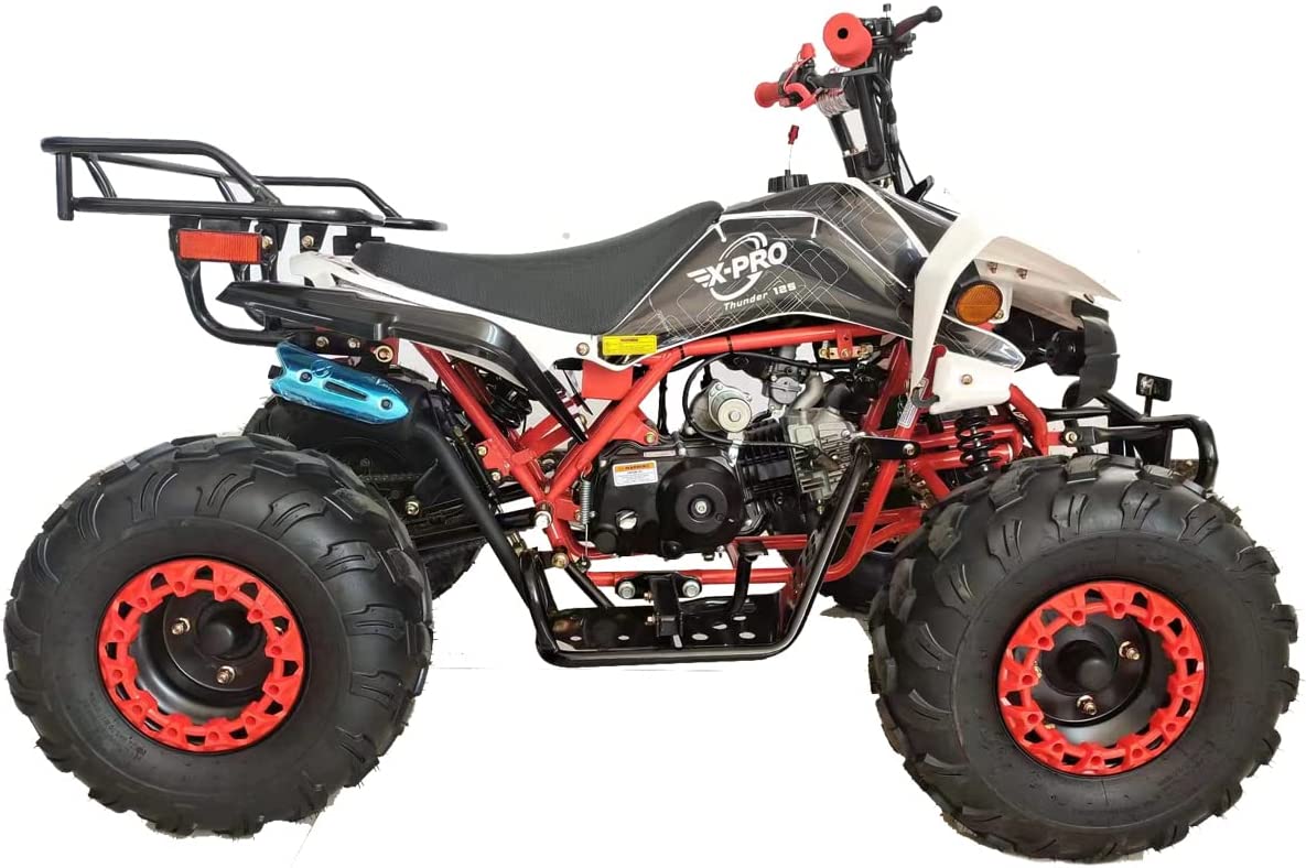 125cc Gas ATV Automatic Transmission with Reverse M195
