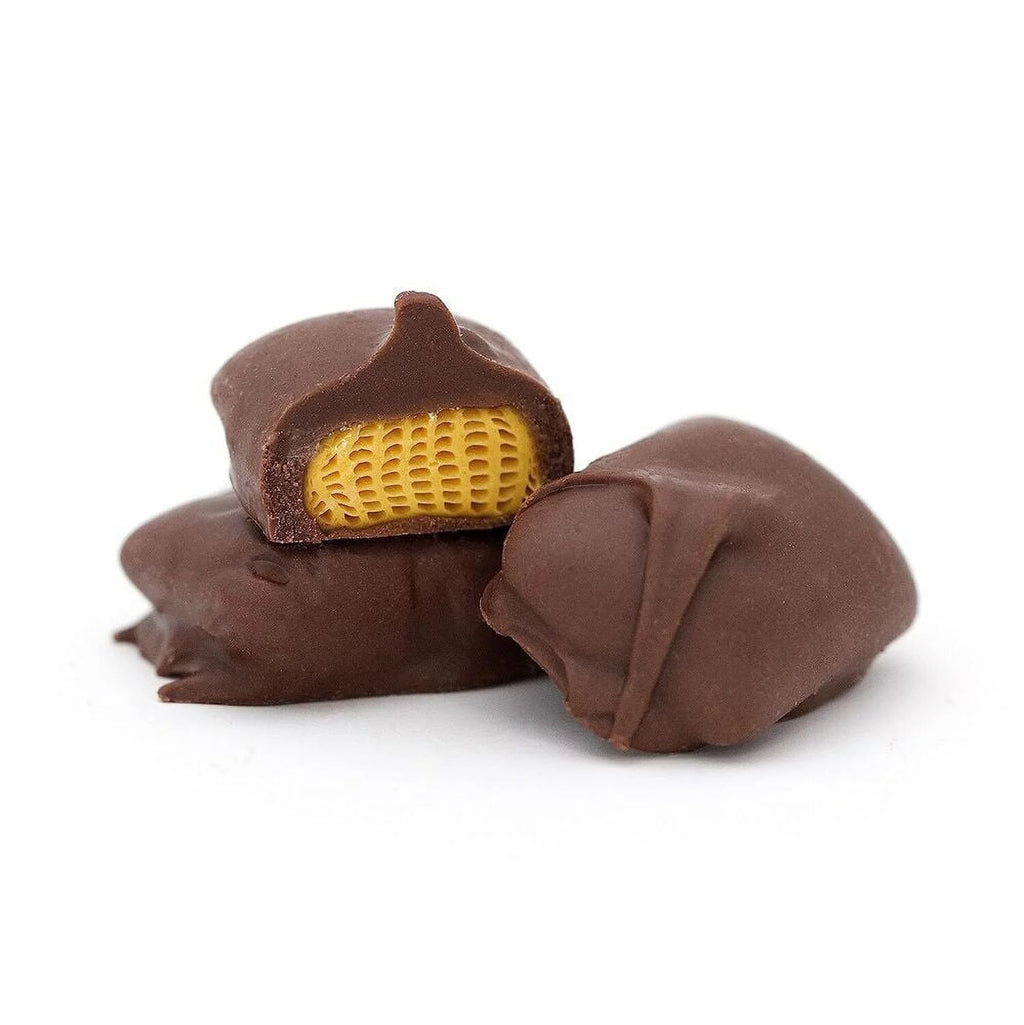 Dark Chocolate Covered Molasses Sponges Candy, 16-Ounce L51350