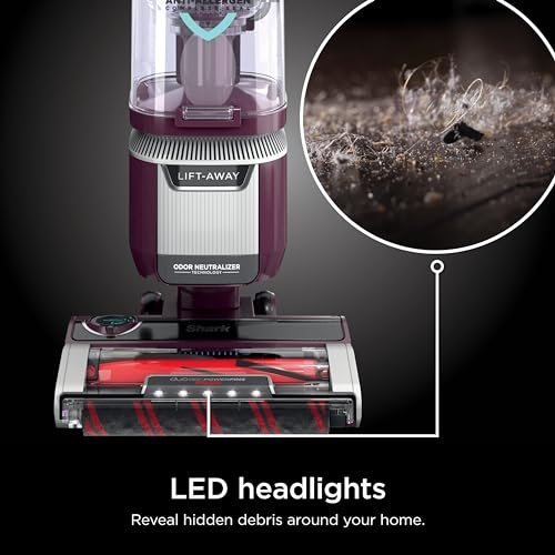Upright Vacuum Cleaner for Home, Bagless, HEPA Filter Q241